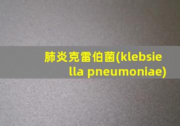 肺炎克雷伯菌(klebsiella pneumoniae)